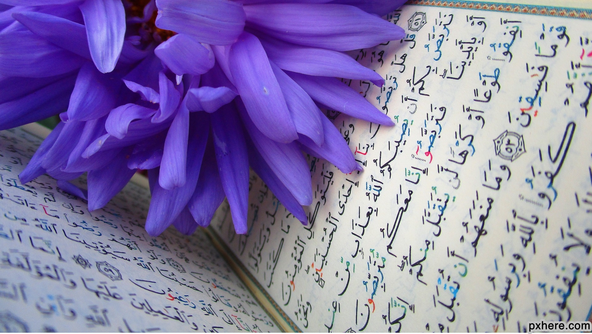 Belajar membaca Al Quran
