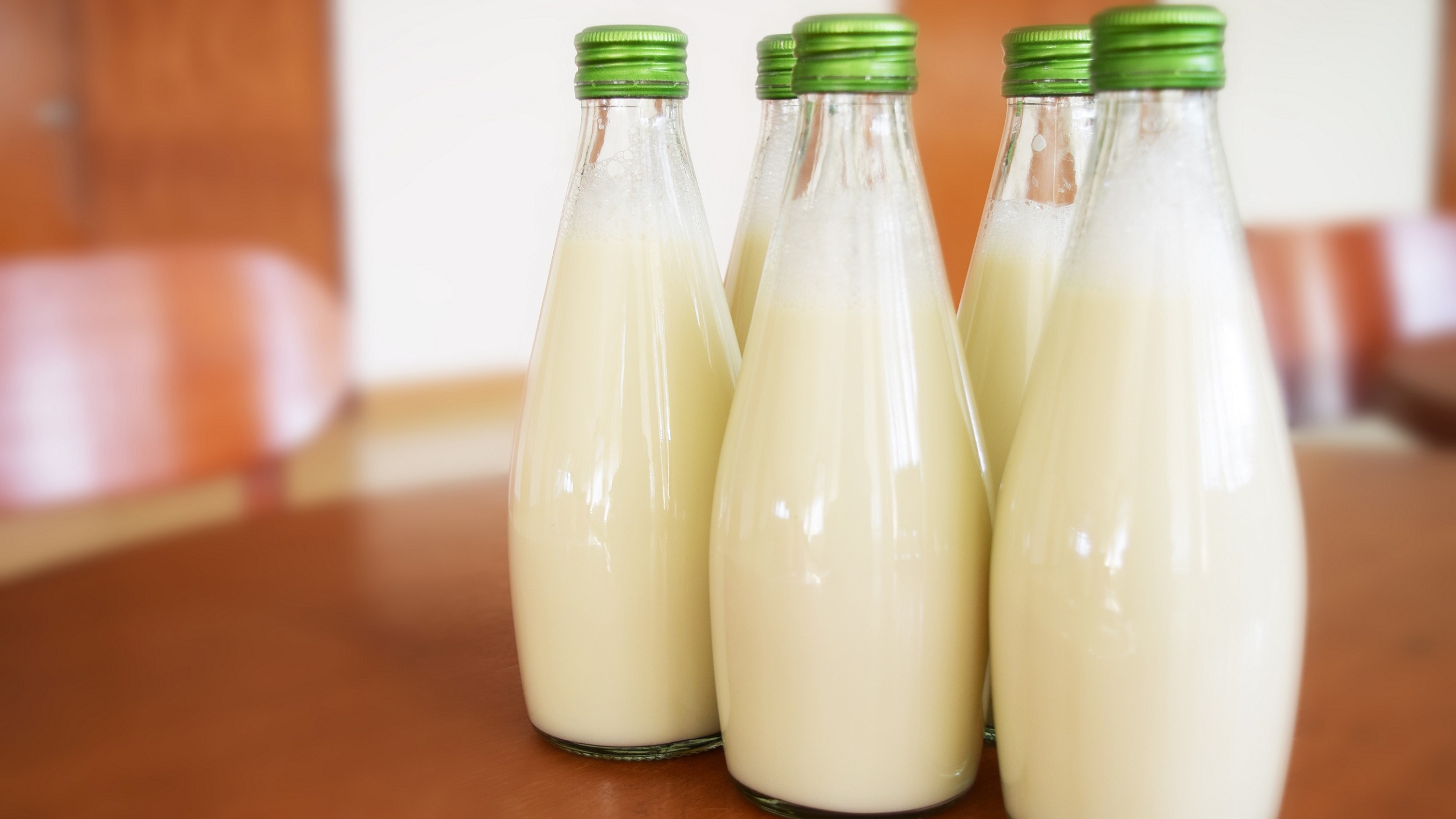 sumber protein